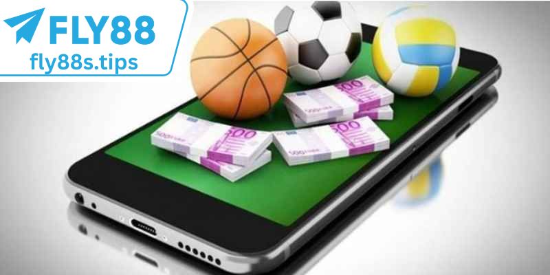 Các Loại Hình Cá Cược Nổi Bật Tại Thể Thao FLY88